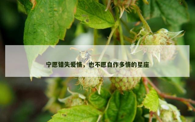 宁愿错失爱情，也不愿自作多情的星座