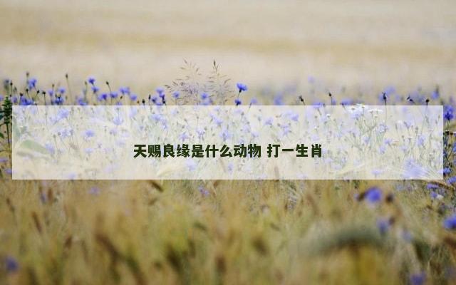 天赐良缘是什么动物 打一生肖