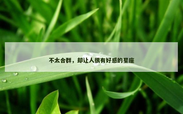 不太合群，却让人很有好感的星座