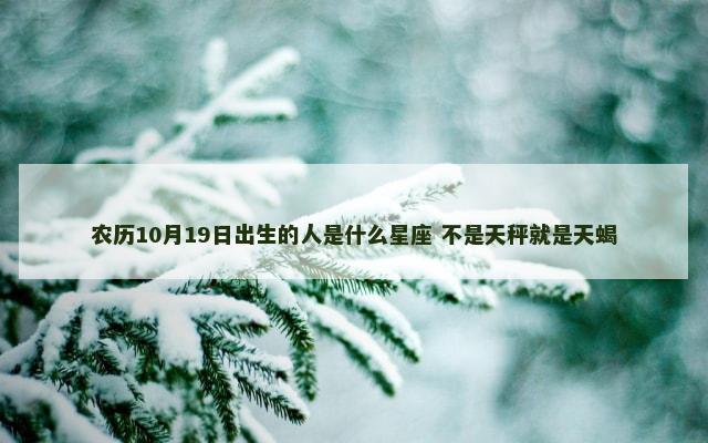 农历10月19日出生的人是什么星座 不是天秤就是天蝎