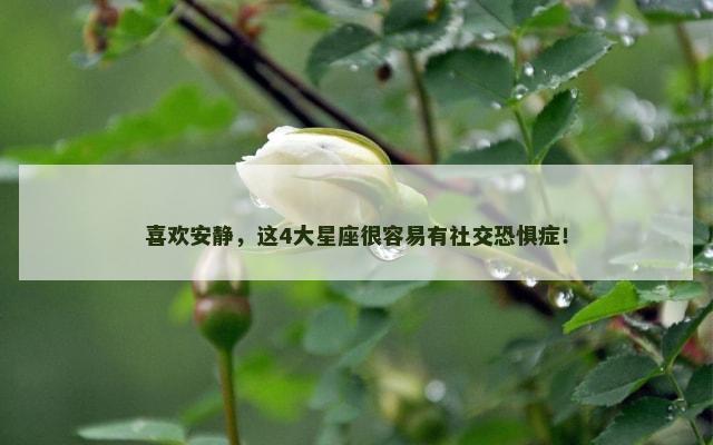 喜欢安静，这4大星座很容易有社交恐惧症！