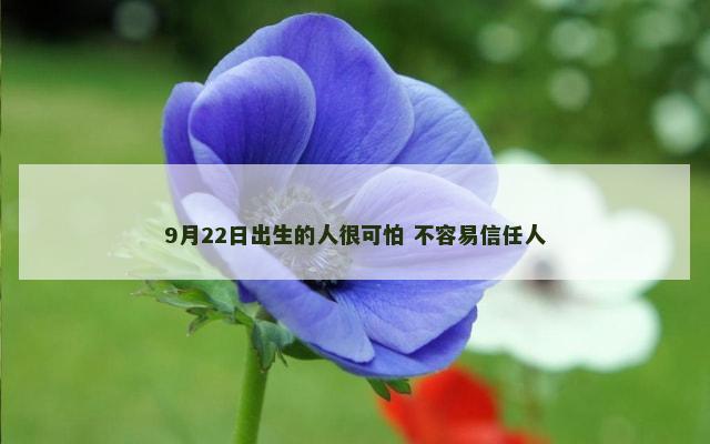 9月22日出生的人很可怕 不容易信任人