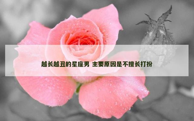 越长越丑的星座男 主要原因是不擅长打扮