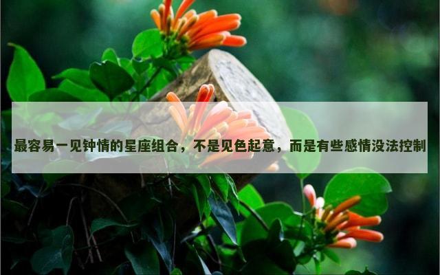 最容易一见钟情的星座组合，不是见色起意，而是有些感情没法控制