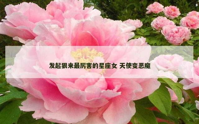 发起狠来最厉害的星座女 天使变恶魔