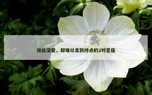 彼此深爱，却难以走到终点的2对星座