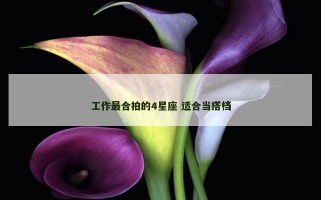 工作最合拍的4星座 适合当搭档