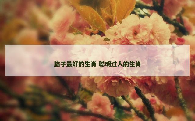 脑子最好的生肖 聪明过人的生肖
