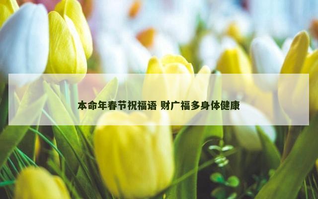 本命年春节祝福语 财广福多身体健康
