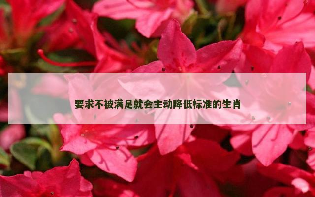 要求不被满足就会主动降低标准的生肖