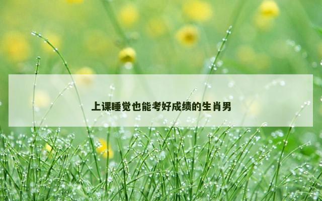 上课睡觉也能考好成绩的生肖男
