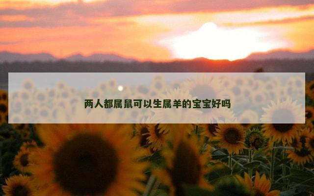 两人都属鼠可以生属羊的宝宝好吗