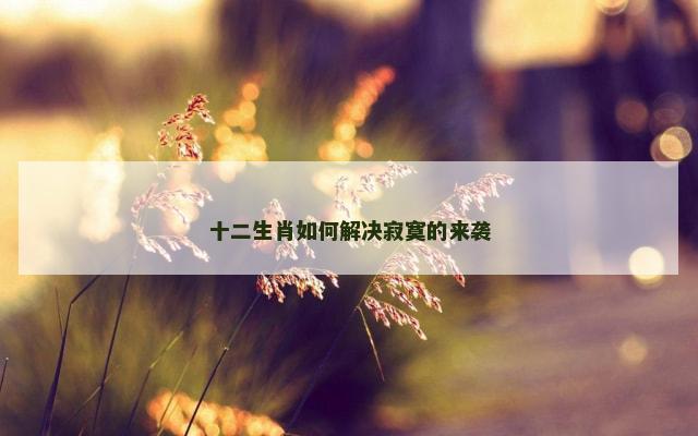 十二生肖如何解决寂寞的来袭