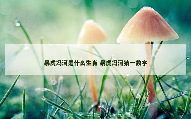 暴虎冯河是什么生肖 暴虎冯河猜一数字