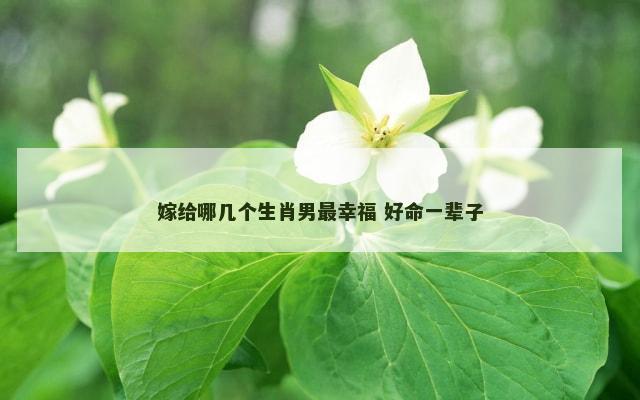 嫁给哪几个生肖男最幸福 好命一辈子