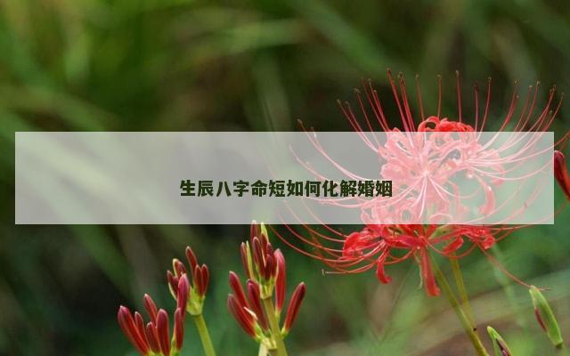 生辰八字命短如何化解婚姻