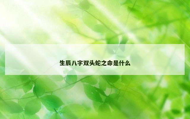 生辰八字双头蛇之命是什么