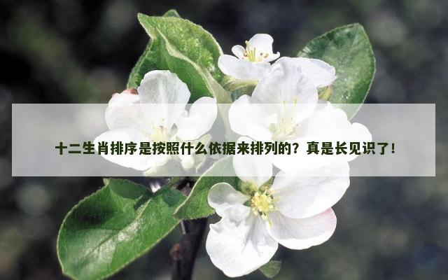 十二生肖排序是按照什么依据来排列的？真是长见识了！