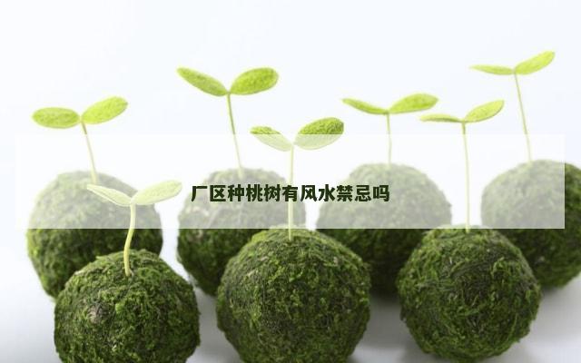厂区种桃树有风水禁忌吗