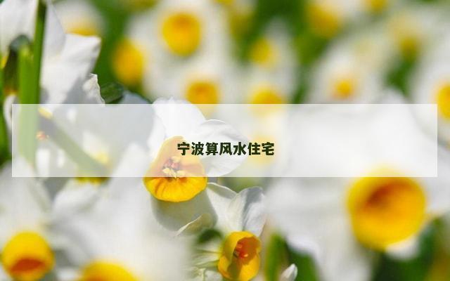 宁波算风水住宅