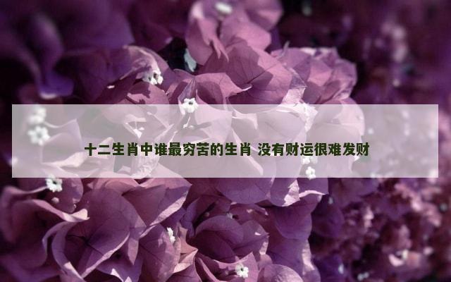 十二生肖中谁最穷苦的生肖 没有财运很难发财