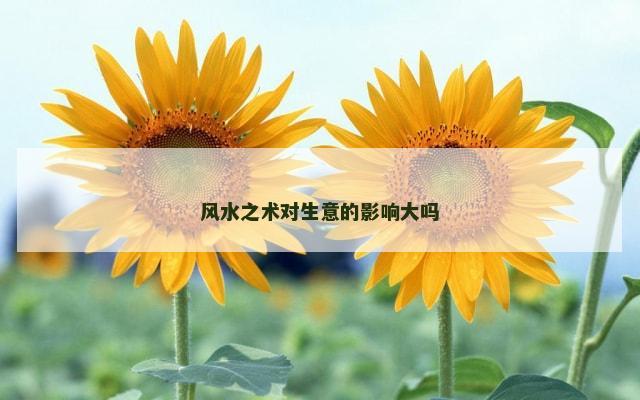 风水之术对生意的影响大吗