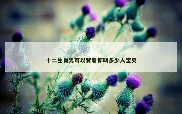 十二生肖男可以背着你叫多少人宝贝