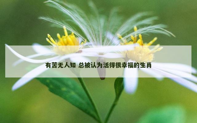 有苦无人知 总被认为活得很幸福的生肖