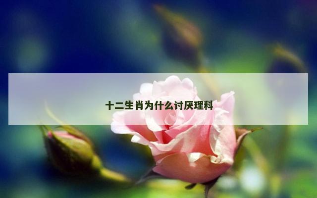十二生肖为什么讨厌理科