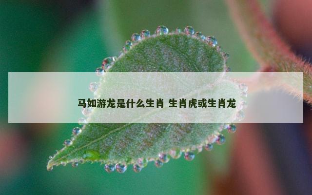 马如游龙是什么生肖 生肖虎或生肖龙