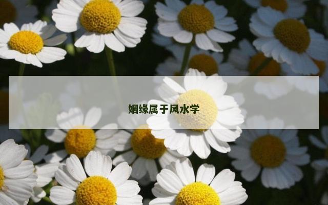 姻缘属于风水学