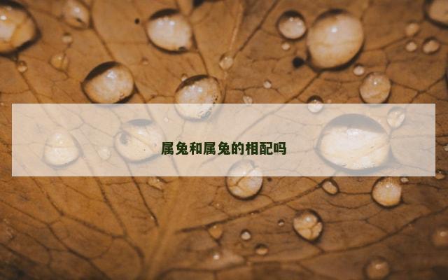属兔和属兔的相配吗