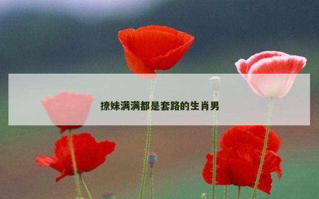 撩妹满满都是套路的生肖男