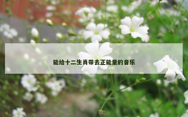 能给十二生肖带去正能量的音乐