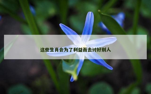 这些生肖会为了利益而去讨好别人