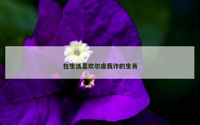在生活喜欢尔虞我诈的生肖