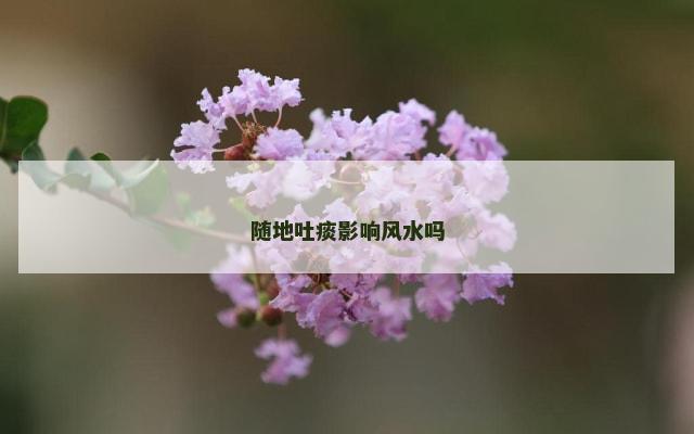 随地吐痰影响风水吗