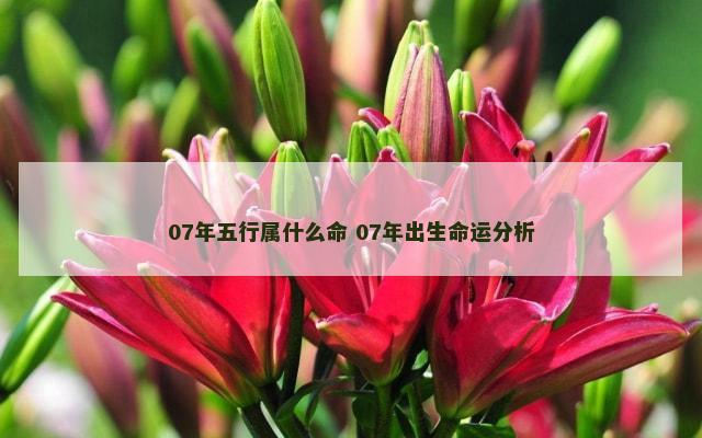 07年五行属什么命 07年出生命运分析