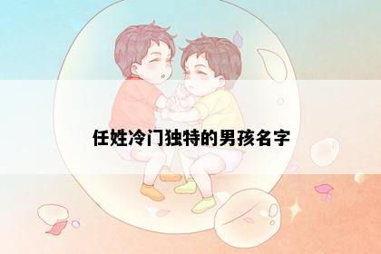 任姓冷门独特的男孩名字