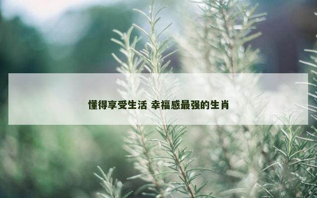 懂得享受生活 幸福感最强的生肖