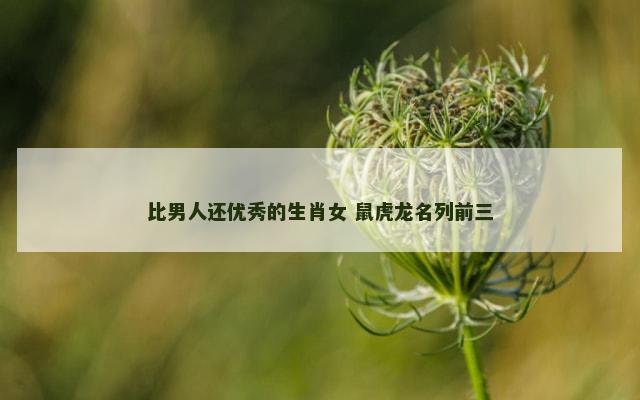 比男人还优秀的生肖女 鼠虎龙名列前三