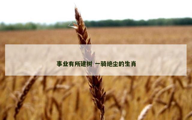 事业有所建树 一骑绝尘的生肖