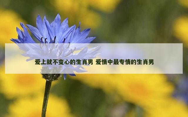 爱上就不变心的生肖男 爱情中最专情的生肖男