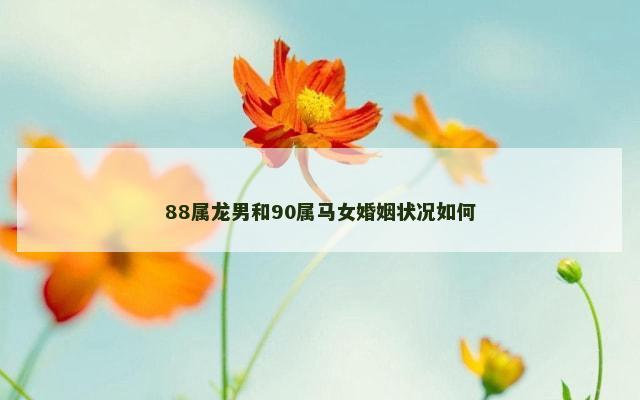 88属龙男和90属马女婚姻状况如何
