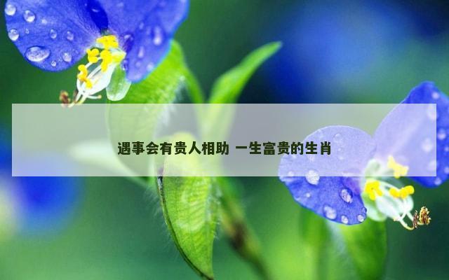 遇事会有贵人相助 一生富贵的生肖