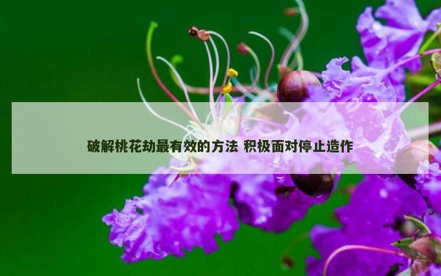破解桃花劫最有效的方法 积极面对停止造作