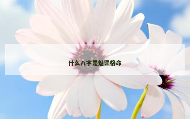 什么八字是魁罡格命