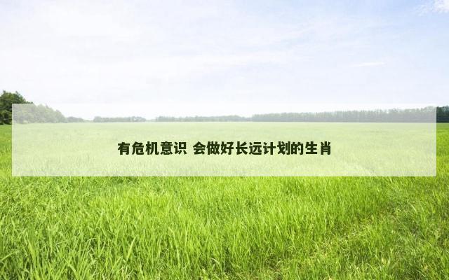 有危机意识 会做好长远计划的生肖