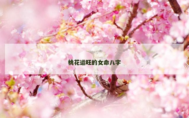 桃花运旺的女命八字