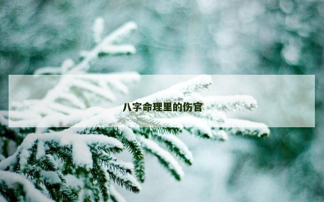 八字命理里的伤官